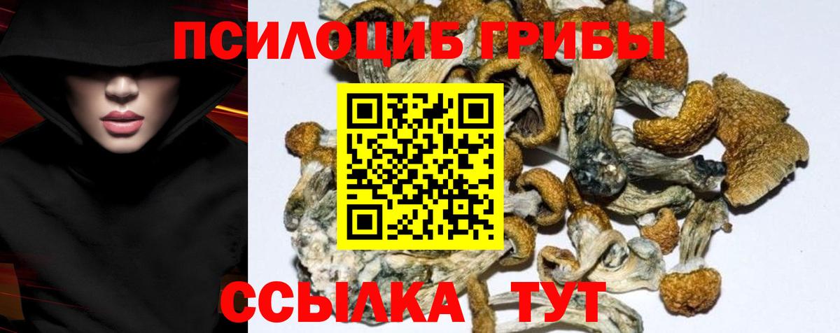 Галлюциногенные грибы Magic Shrooms Саратов