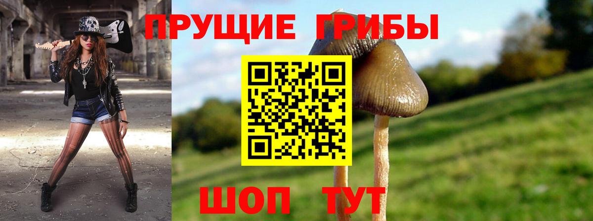 Саратов  Галлюциногенные грибы Magic Shrooms  Вход с VPN 